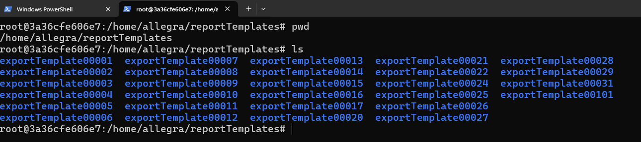 Screenshot of exportTemplate00XXX
